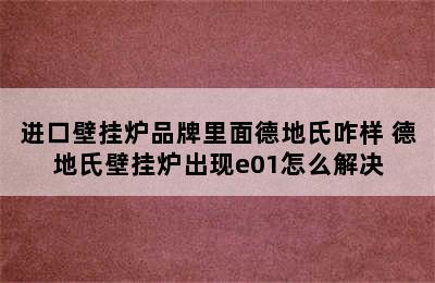 进口壁挂炉品牌里面德地氏咋样 德地氏壁挂炉出现e01怎么解决